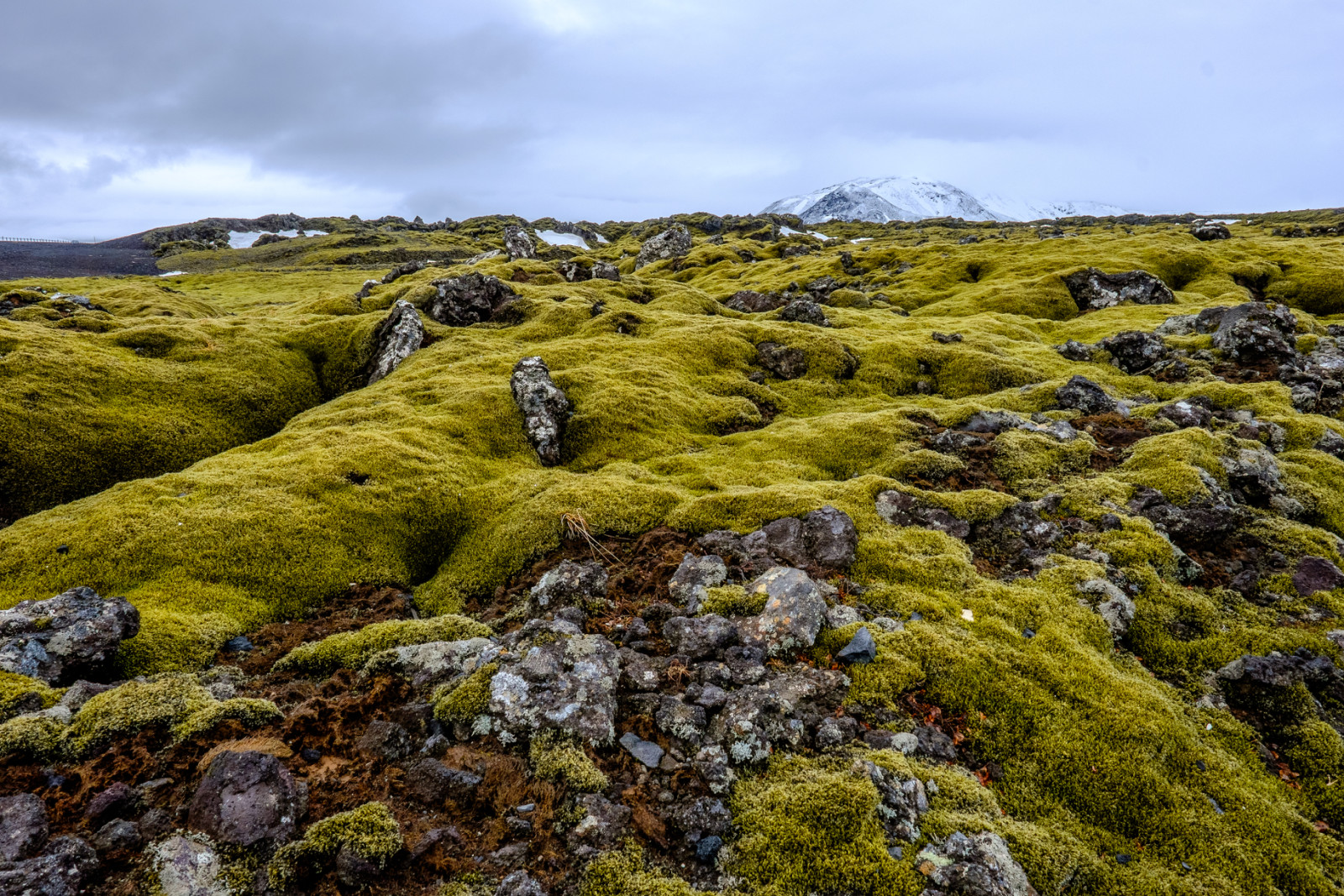 DSCF3649.jpg